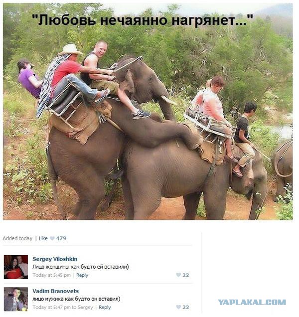 Подборка весёлых картинок
