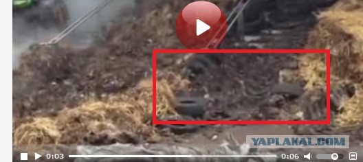 Фермеры завалили мэрию говном из вентилятора