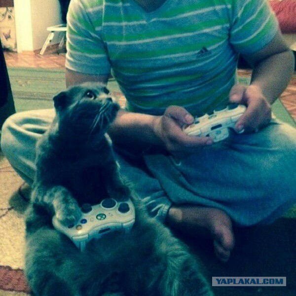 Жизнь боль!