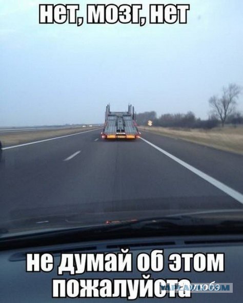 Весёлые картинки