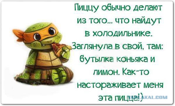 Картинки из интернета