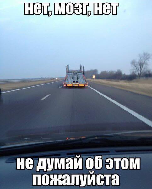 Картинки из сети