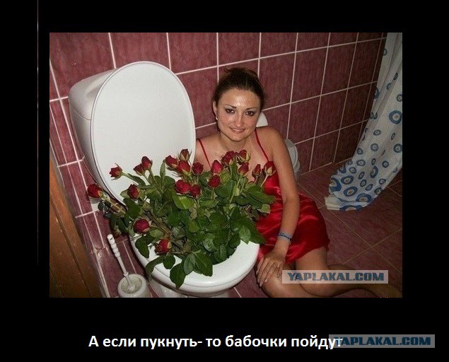 Картинки из соцстей