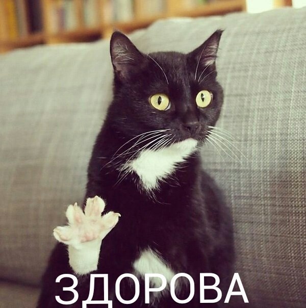 Доброе утро всем ЯПовчанам и Яповчанкам..