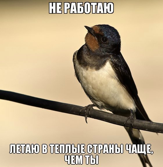 Картинки на пятницу