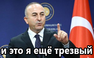 МИД Турции Чавушоглу: оккупируем Россию за 7 дней