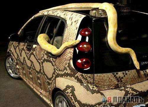Аэрография автомобиля