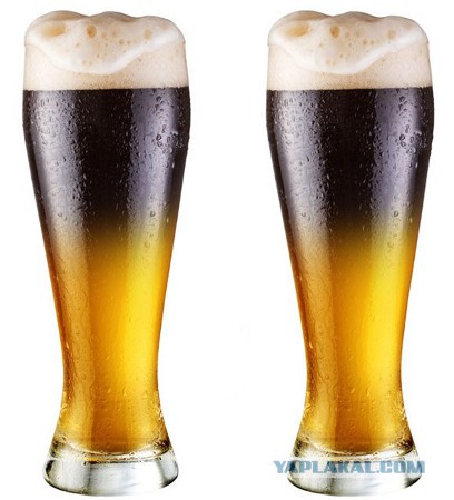 50 на 50: даже не верится, что это части одной фотографии