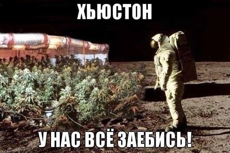 Абсурдный юмор ч.24