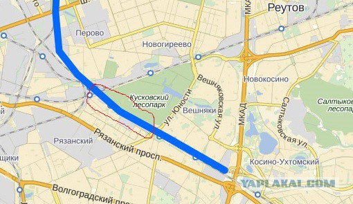 По поводу приюта Эко Вешняки....