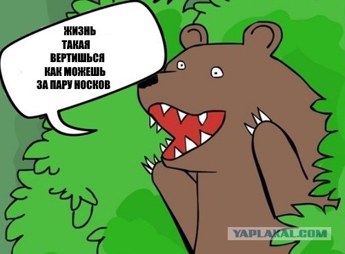 Правда жизни