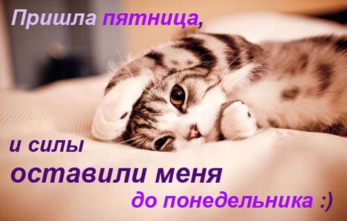 Клуб анонимных алкоголиков 4.