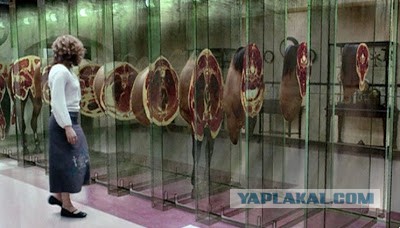 Щас посмотрим, что у нее внутри..