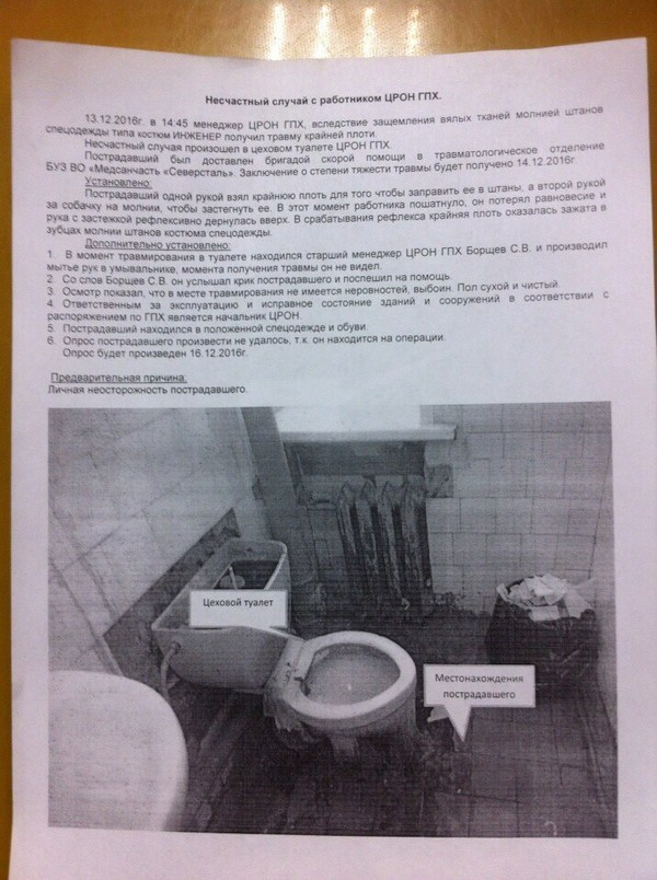 Подборка интересных и веселых картинок