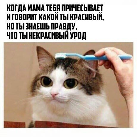 Деградации ЯПу от Креизи