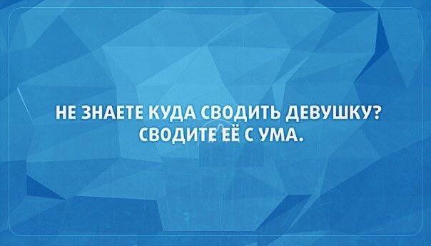 Перлы и высказывания