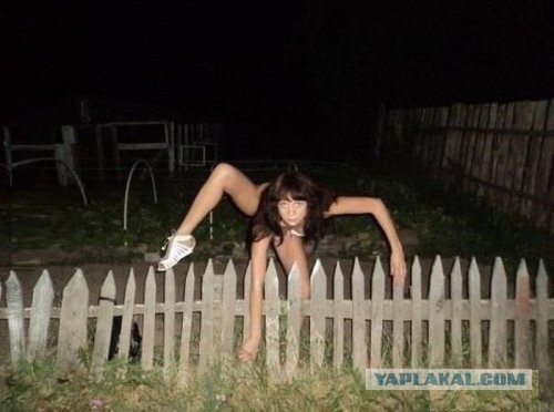 Вот ты какая, женщина-паук!
