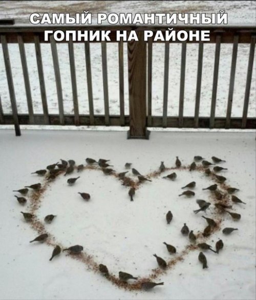Просто юмор 22