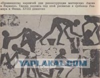 У нас нэт мафия…