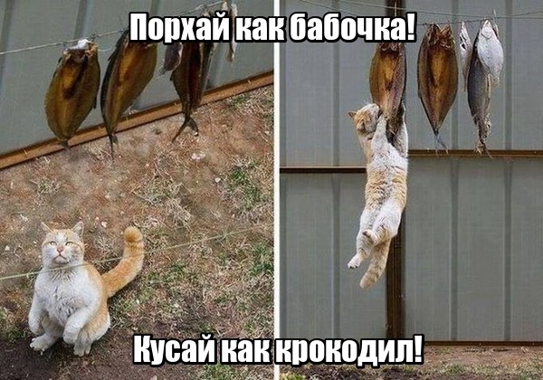 Работа не волк, но картинки сами себя не посмотрят!