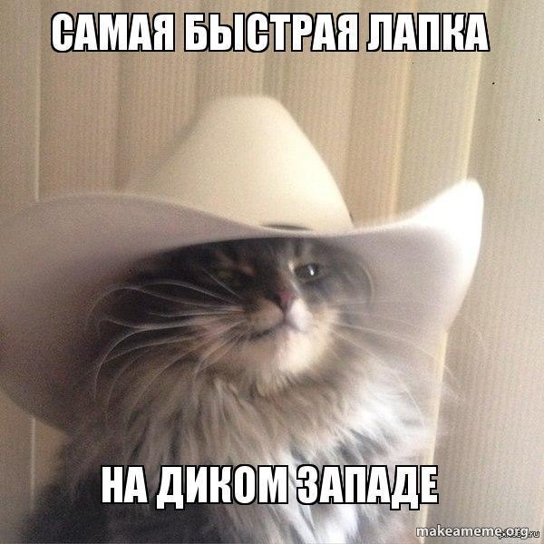 Прикольные картинки обо всем