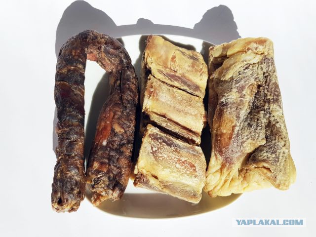 Кулинары поздравляют ЯП с днём рождения!