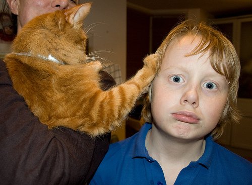 Забыли котовторник? А вот он!