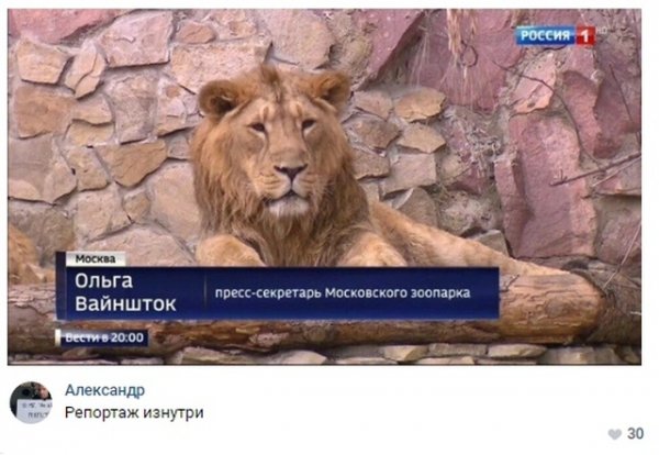 Нестандартный юмор