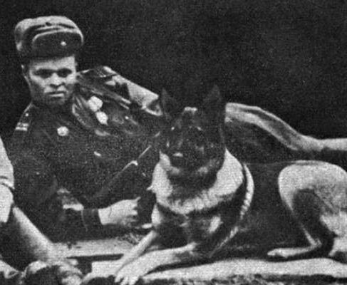 История в фотографиях - II