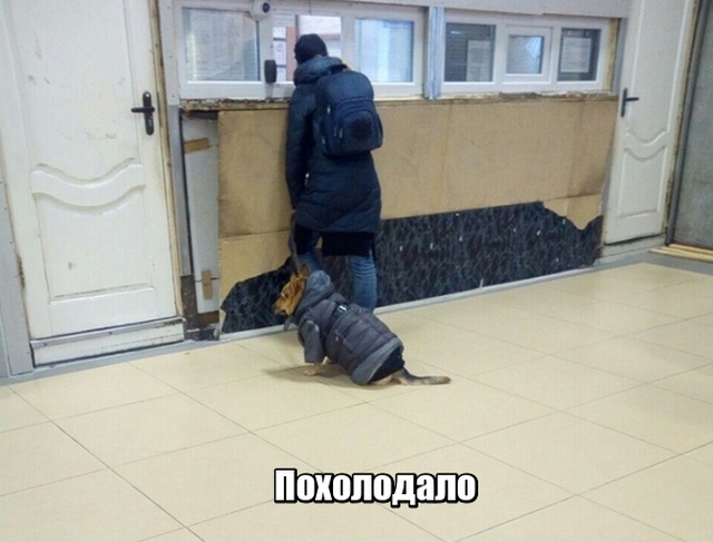 Нестандартный юмор