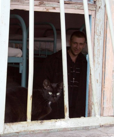 Коты-арестанты: как живут тюремные мурлыки в колонии строгого режима