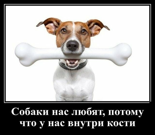 Анекдоты, соц-сети, истории и картинки с надписями