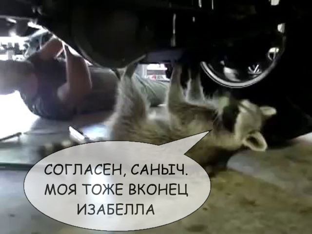 Мужа больше интересует гараж, чем я