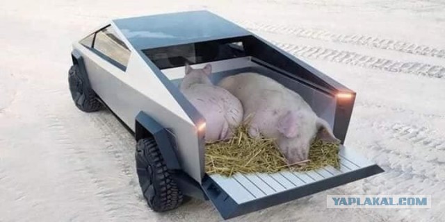 Илон Маск объяснил, почему у Tesla Cybertruck именно такой дизайн