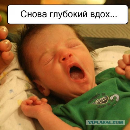 Спорим, зевнешь?))) (28 фото)