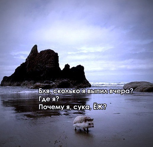 Немного картинок для настроения 05.03.20