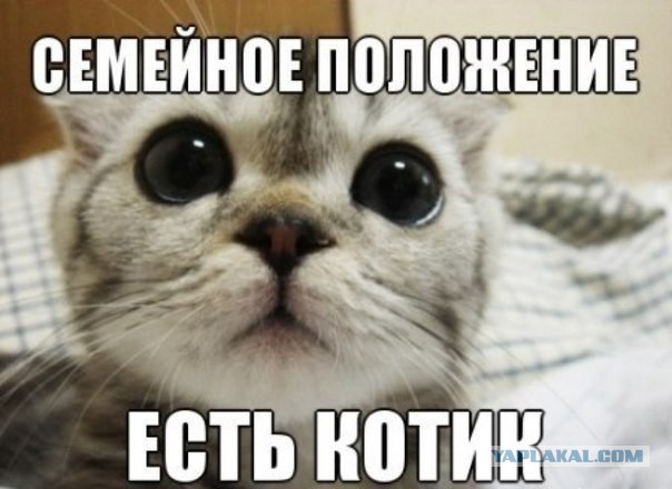 У тысяч, сотен тысяч женщин «за сорок» нет мужчины и уже никогда не будет