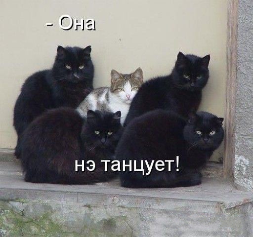 Кучка картинок №18