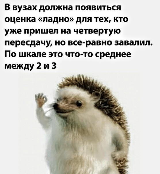 Немного картинок для настроения 18.07.20