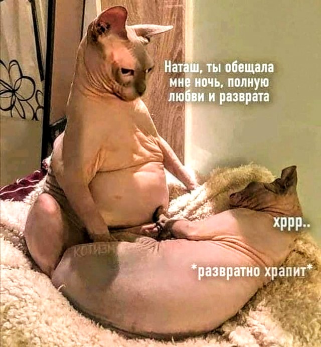 Немного картинок для настроения 07.09.20
