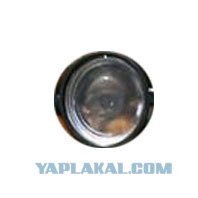 Упячка в цвете
