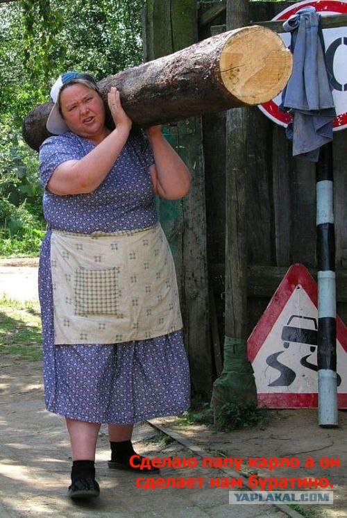 фотожаба: с бревном