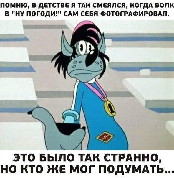 Фотки и картинки: юморные и красивые, забавные и милые 09.10.20