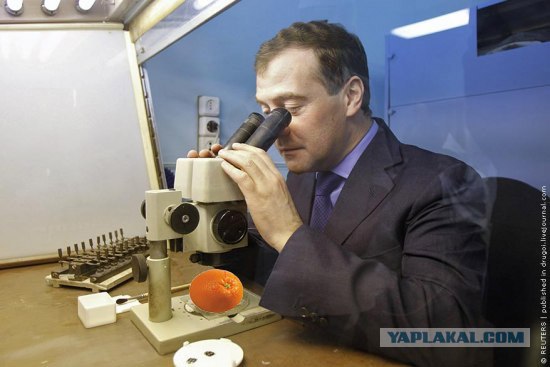 Фотожаба: Диалог с оппозицией