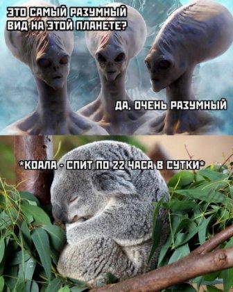 Юмор в картинках 16.11.20