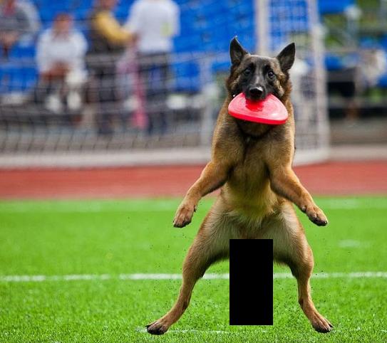 Фотожаба: А говорили, гады, что котлета