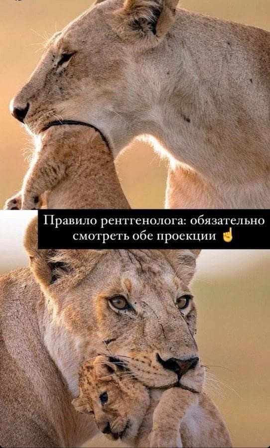 Картинки 09.01.21