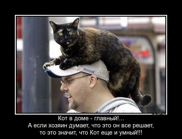 Любимый муж-импотент предлагает завести любовника