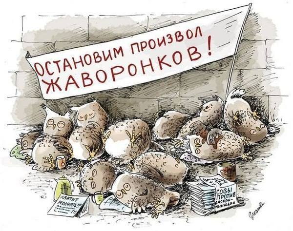 Картинки и мемы для настроения