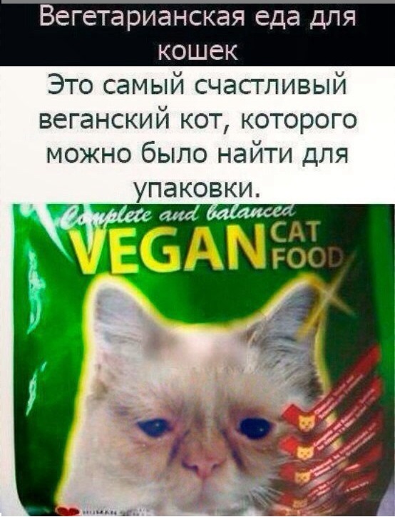 Картинки с надписями и всякие жизненные фразы